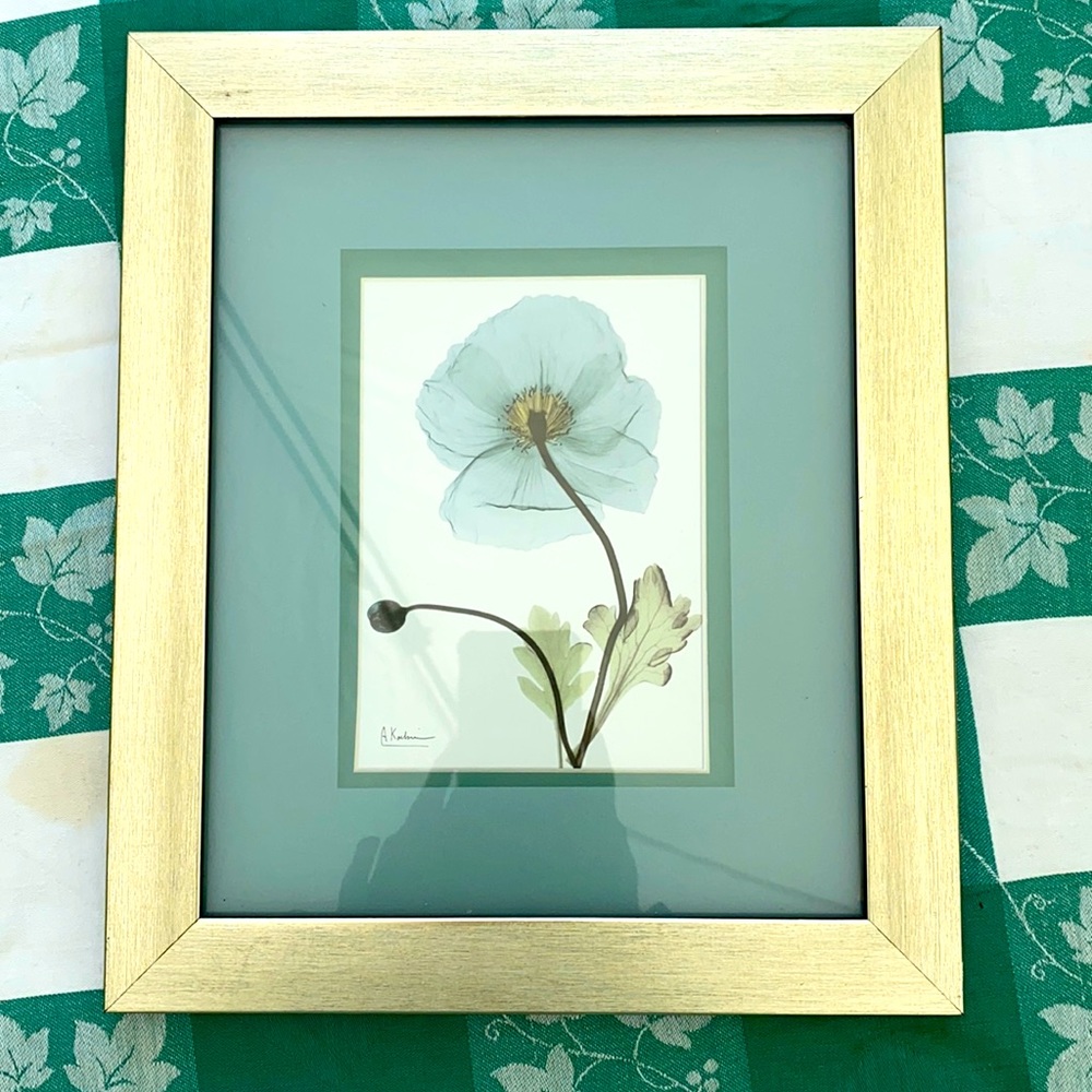 Floral Framed‎ Print with Gold Frame, Green Mat